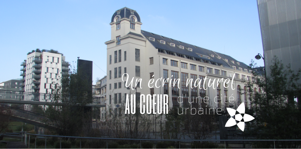 Le jardin secret du Panthéon Bouddhique • Paris sur un fil